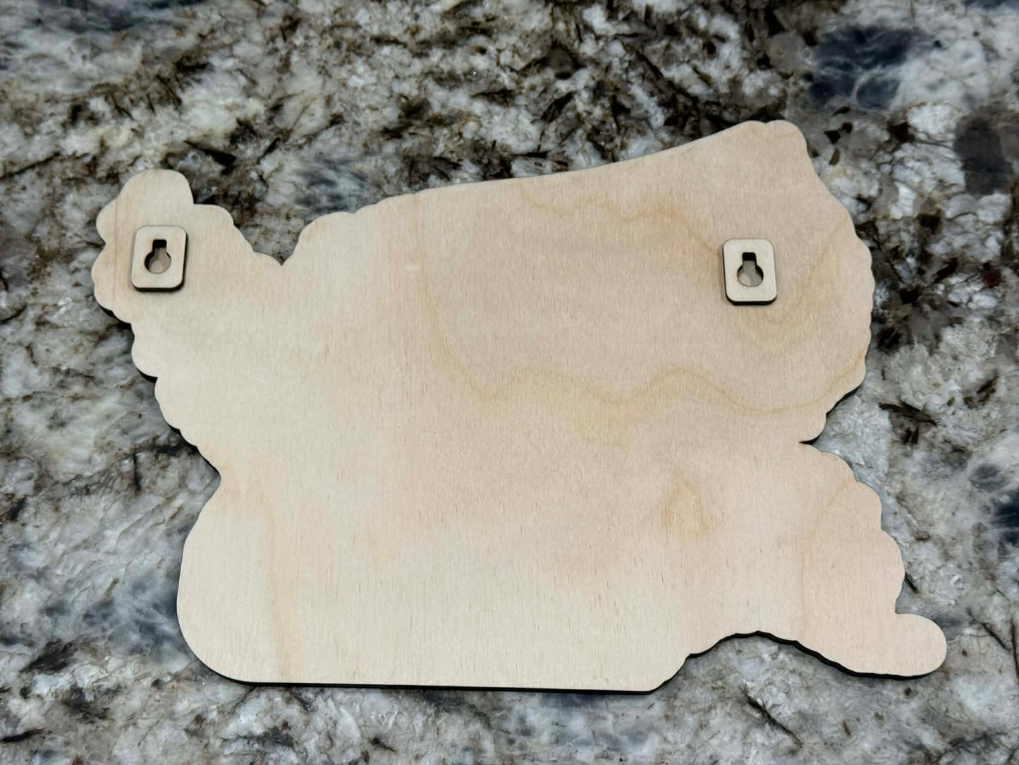 "oh the places I've been" USA map with name Wall Sign